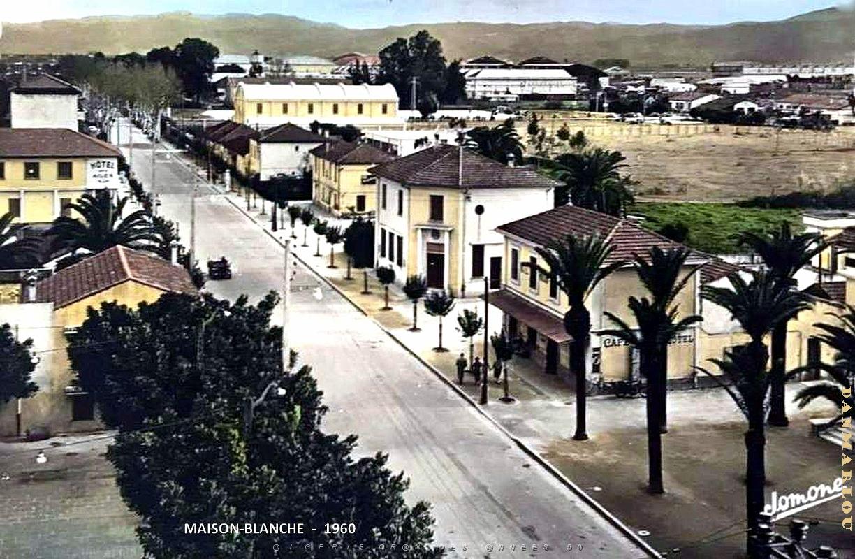 Maison-Blanche  - Vue aerienne - 1960.jpg